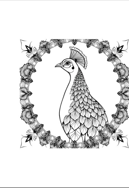 A design from Peacock Mandalas