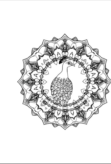 A design from Peacock Mandalas