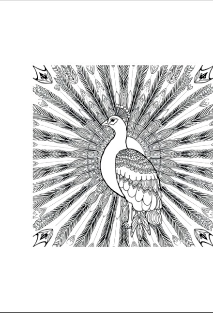 A design from Peacock Mandalas