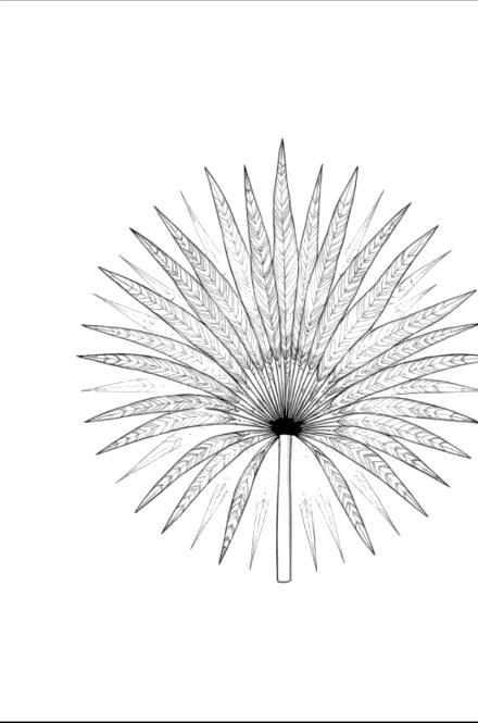 A design from Tropical Leaf Mandalas