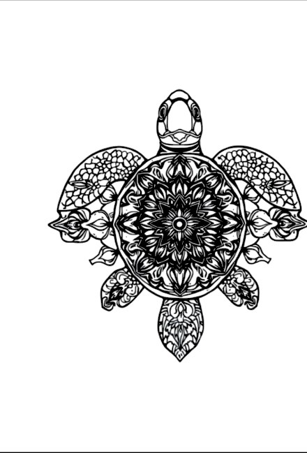 A design from Sea Turtle Mandalas