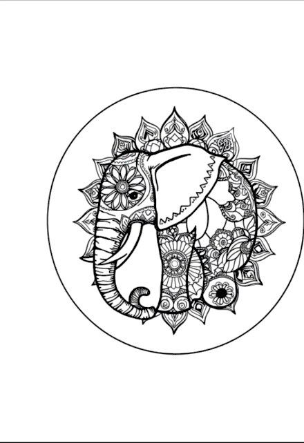 A design from Wild Animal Mandalas