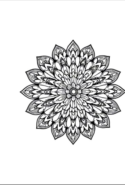 A design from Wildflower Mandalas